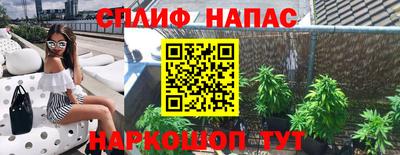 индика Пугачёв